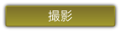 撮影